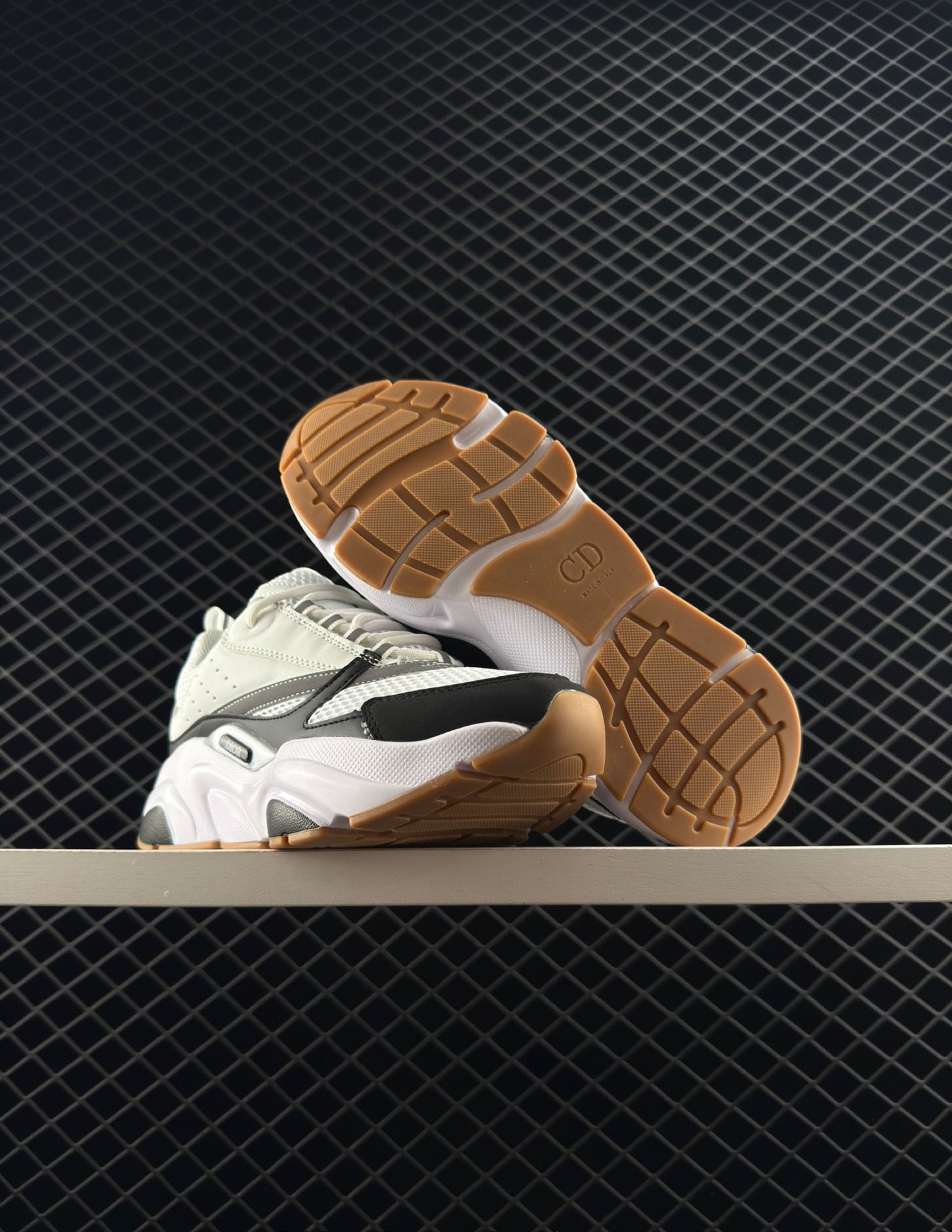 Dior Exaggerated Streamlined Dad Shoes