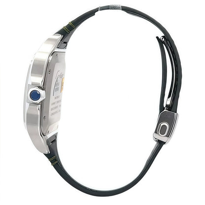 Cartier Santos Green Dial Large Size WSSA0062 Unworn 2025