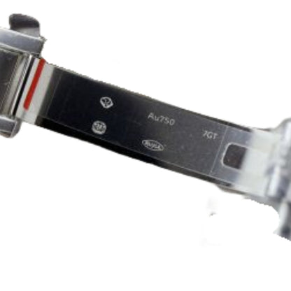 Rolex 40 mm Meteorite Dial Platinum Bracelet 228239 Daytime Date Watch